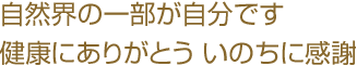 自然界の一部が自分です 健康にありがとう いのちに感謝